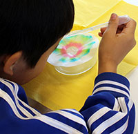 Ein Junge tropft Wasser auf einen Kaffeefilter. So zeigt er, dass schwarzer Filzstift aus mehreren Farben besteht. Mit solchen einfachen Experimenten sollen Kindern und Jugendlichen chemische Vorgänge näher gebracht werden. Foto: Universität Bielefeld