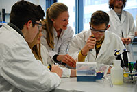 Bild: 24 Schülerinnen und Schüler forschen in einer internationalen Gruppe gemeinsam im Labor der Universität Bielefeld. Foto: Universität Bielefeld