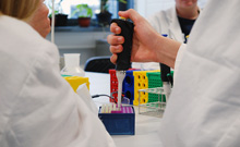 Bild: Schülerinnen und Schüler forschen in einer internationalen Gruppe gemeinsam im Labor der Universität Bielefeld. 