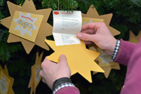 In diesem Jahr werden insgesamt 870 Wunschsterne am Weihnachtsbaum in der Universitätshalle hängen. Foto: Universität Bielefeld 