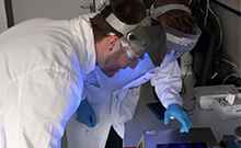 Bild: Yannic Kerkhoff und Daniel Bergen identifizieren mit UV-Licht DNA-Fragmente. Foto: Universität Bielefeld 