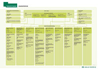 Bild: Organisationsplan von Rektorat und Zentraler Universitätsverwaltung