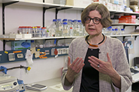 Die Biochemikerin Professorin Dr. Dorothee Staiger von der Universität Bielefeld forscht seit zwanzig Jahren an der inneren Uhr der Pflanzen. Screenshot: research_tv