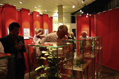 Ausstellung Neobiota