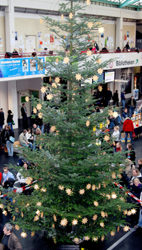 Bild: Der Weihnachtsbaum in der zentralen Uni-Halle
