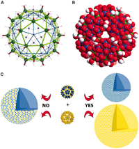 Bild: Abbildung A zeigt die unterschiedliche Detailstruktur der Nanopartikel im Inneren