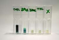 Studierenden der Universität Bielefeld haben künstliche Enzyme hergestellt und auf winzige Glaskügelchen angebracht. Wie ein Kiesbett filtern sie nun die Testlösung – je dunkler sie sich verfärbt, desto besser funktioniert der synthetische Biofilter.