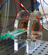 Die Bielefelder Studierenden haben eine mikrobielle Brennstoffzelle konstruiert, mit der sie erfolgreich Elektrizität zum Betrieb von Kleinanwendungen produzieren können. Foto: iGEM-Team Bielefeld