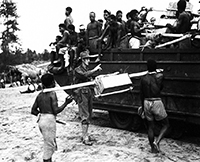Aitape, Papua Neuguinea, August 1944Auf Befehl weißer Offiziere mussten die Insulaner alles, was die kriegführenden  Armeen brauchten, über glitschige Pfade ins umkämpfte Gebirge Neuguineas schleppen.(Quelle: National Archives, U.S. Army Signal Corps)