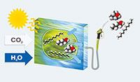 Bild: Schematische Darstellung der Photofuel-Methode: In Photobioreaktoren werden Mikrobenzellen gezüchtet. Die Zellen wandeln Solarenergie