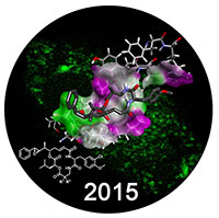 Bild: Das Logo der diesjährigen CeBiTec-Konferenz „Drug Conjugates for Directed Therapy“ zeigt den potentiellen Anti-Tumor Wirkstoff Cryptophycin
