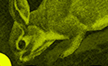 Bild: "Paradox"-Ästhetik-Festival von Universität und Kunsthalle Bielefeld (Detail Flyer)