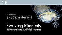 Bild: Die Tagung „Evolving Plasticity in Natural and Artificial Systems“ findet vom 5. bis 7. September am Zentrum für interdisziplinäre Forschung (ZiF) statt. Foto: ZIF/Universität Bielefeld
