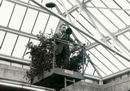 Bild: 25Vor 25 Jahren wählte der Konvent Karl Peter 
?Abgestaubt? ? aus dem
Bielefelder Universitätsarchiv

Das Jahr 1977
Grotemeyer zum dritten Mal zum Rektor der 
Universität Bielefeld