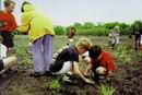 Bild: Beteiligung der Bevölkerung bei der Gestaltung eines "urban park" bei Chicago.