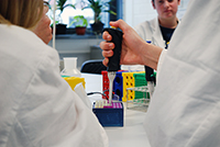 Bild: Die jungen Forschenden untersuchen zum Beispiel Proben auf die Gegenwart von Viren. Foto: Universität Bielefeld