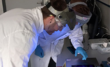 Bild: Laborarbeit im iGEM-Projekt. Foto: Universität Bielefeld