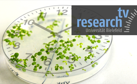 Bild: Innere Uhr BP