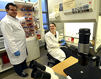 Bild: Dr. Björn Kowalewski und Mai-Britt Ilse haben für die Studie mit Zellkulturen nachgewiesen