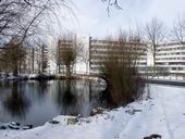 Bild: Universitätsgebäude im Schnee