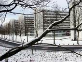Bild: Universitätsgebäude im Schnee