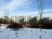 Bild: Universitätsgebäude im Schnee