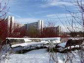 Bild: Universitätsgebäude im Schnee