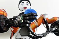 Bild: Die maschinellen Hände tasten und greifen mit Hilfe zusätzlicher Sensorik. Der Roboterkopf Floka gibt währenddessen ein direktes Feedback. 
Foto: CITEC/Universität Bielefeld
