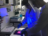 Bild: Irina Rais und Antonin Lenzen 
identifizieren mit UV-Licht DNA-Fragmente.