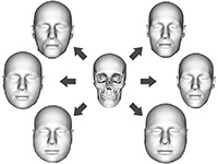 Bild: Das neue Computermodell kann aus einem gegebenen Schädel interaktiv mehre Gesichtsvarianten rekonstruieren