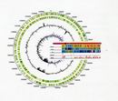 Bild: BUZ 213/2003
Genomlogo
Institute für Bioinformatik und für Genomforschung gegründet