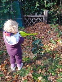 Bild: Ein kleiner Zwergapfelbaum gut angekommen am neuen Standort. 