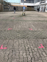 Bild: Pinke Markierungen 