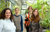 Die Gastforscherinnen und ihre Gastgeberin (v.li.): Dr. Julieta Mateos aus Argentinien, Dr. Marlene Reichel aus Österreich, Prof’in Dr. Dorothee Staiger von der Universität Bielefeld und Dr. Yamila Agrofolio aus Argentinien. Foto: Universität Bielefeld