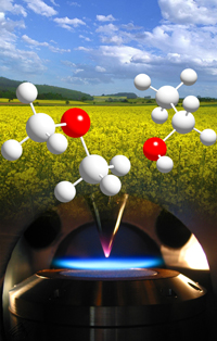 Bild: Die Verbrennungschemie von Biokraftstoffen wird direkt in der Flamme analysiert
Foto: Kuiwen Zhang
