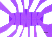 Bild: Lichtmikroskopische Aufnahme eines Feldeffekttransistors aus an der Universität Bielefeld hergestelltem Graphen. Die Eigenschaften dieses neuartigen Materials werden an der Physika-lisch-Technischen Bundesanstalt in Braunschweig für zukünftige Anwendungen in Elektronik und Sensorik getestet.