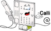 Bild: Calli