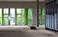 Bild: Zwischen dem Beton strahlen schon die ersten Farbakzente.
