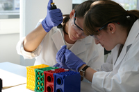 Bild: Eine neue Sommerakademie bietet – wie schon das teutolab Biotechnologie – Schülerinnen und Schülern der Sekundarstufe II Einblicke in molekularbiologische und biotechnologische Arbeitsweisen. Foto: Agnes Dreischmeier/Universität Bielefeld 