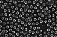 Bild: Typische Mikrogelteilchen
