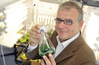 Bild: Ein Team um Prof. Dr. Olaf Kruse von der Universität Bielefeld sucht nach der perfekten Mikroalge für das Kooperationsprojekt. Foto: Sandra Sanchez / Bielefeld Marketing GmbH