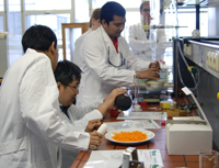 Bild: DAAD-Stipendiaten lernen die Experimente im teutolab kennen.