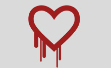 Bild: Logo des Heartbleed-Bugs
