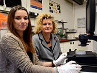 Bild: Doktorandin Janine Müller und Prof. Dr. Barbara Kaltschmidt (v. l.) haben die Zellen für die Parkinson-Studie vorbereitet und ausgewertet. Foto: Universität Bielefeld