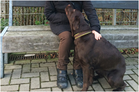 Bild: Die Begegnung mit einem Hund: Einer Bethel-Bewohnerin wurde dieser Wunsch erfüllt.