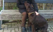 Bild: Wunschsternaktion: Die Begegnung mit einem Hund: Einer Bethel-Bewohnerin wurde dieser Wunsch erfüllt.