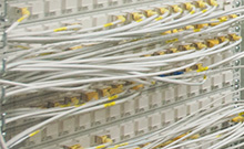 Bild: Deutsches Netzwerk für Bioinformatik-Infrastruktur
